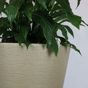Vaso Terra Cone 55 X 46 Cm Cor 11 - Granito Areia