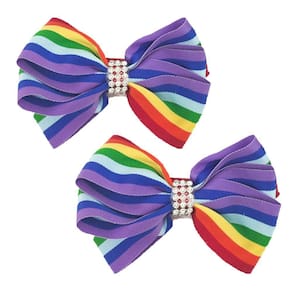 Presilha Laço Enfeite Lgbt Cabelos Kit 2 Unidades Colorido