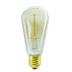 Kit 15 Lâmpadas De Filamento De Carbono Vintage Retrô 40W