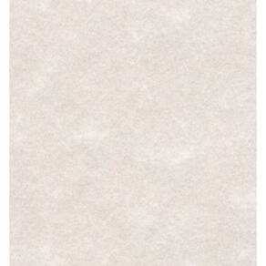 Cartolina, papel vegetal, 8,5 x 14, 65 libras, capa, pacote de 50 folhas