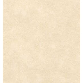 Papel cartolina, pergaminho, 8,5 x 11 polegadas, natural, 65 libras