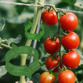 Plant Clips LOOHOI Secured Plastic Trellis Garden Support 100 unidades