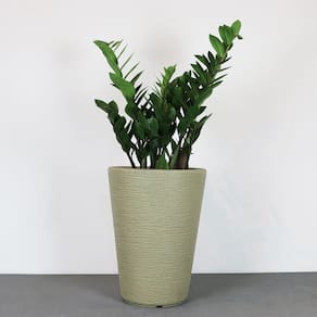 Vaso Terra Cone 30 X 40 Cm Cor 11 - Granito Areia