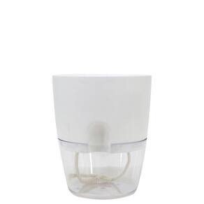 Cachepot Acqua Autoirrigável 12 Cm Cor 06 - Branco Sólido