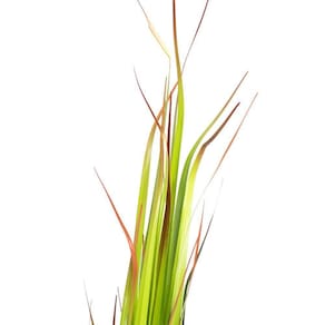 Grass Artificial Print Com Pote Real Toque Verde 2t 120 Cm F04 - D`rossi