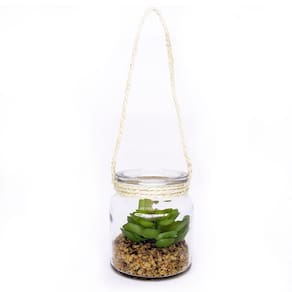 Folhagem Suculenta De Pendurar Com Vaso De Vidro Verde 11,5 Cm F04 - D`rossi