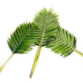 Planta Artificial Palmeira Areca Real Toque X15 Verde 114 Cm F04 - D`rossi
