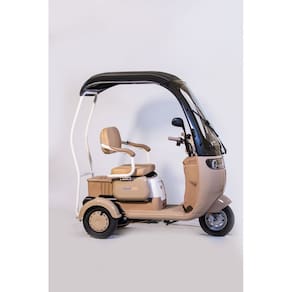 Triciclo Elétrico Tuk-tuk 800w Passeio Mobilidade Sem Cnh