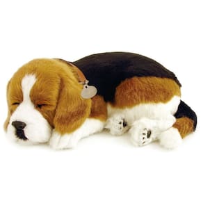 Perfect Petzzz Filhote Cachorro Beagle - Imex