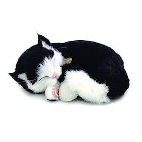 Perfect Petzzz Filhote Gato Black E White Shorthair - Imex