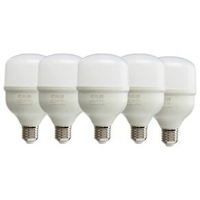 Kit 10 Lâmpada Led 20w Bulbo Alta Pot Bivolt 6500k Foxlux