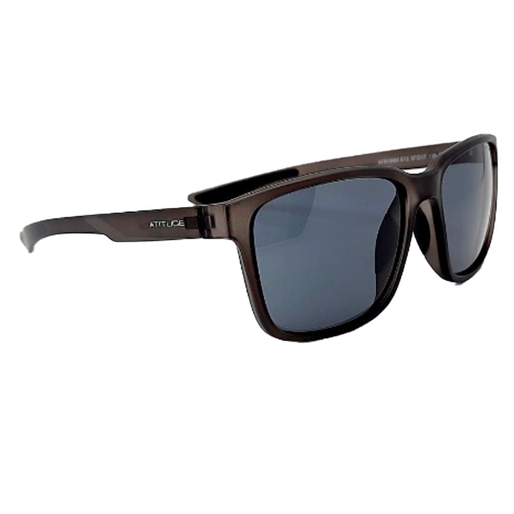Oculos Solar Atitude At8199M E12
