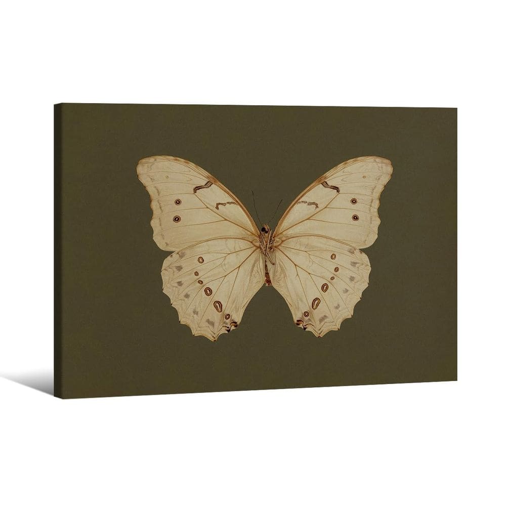 Arte de parede em tela Vintage White Butterfly Dark Moody 20x25cm