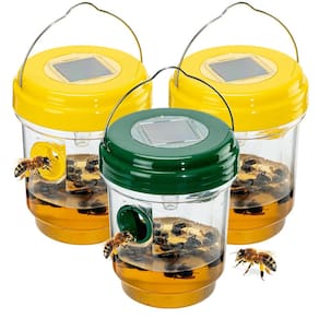 Pacote com 3 armadilhas solares para abelhas suspensas ao ar livre