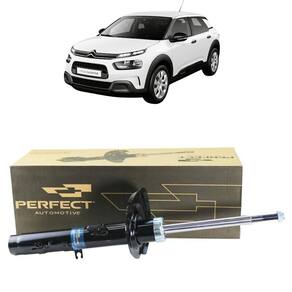 Amortecedor Dianteiro Esquerdo - C4 Cactus 2018 A Em Diante - Amd0903