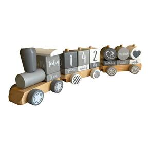 Monthly Milestone Blocks KOALA SMART Trem de madeira com 3 cabines