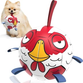 Dog Ball Toy QDAN Chicken para cães pequenos e médios de 15 cm