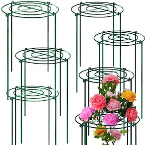 Gaiola de suporte de peônia TCBWFY 8 conjuntos de 30 cm de diâmetro x 60 cm de altura, metal verde