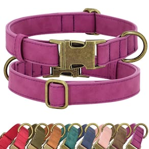 Coleira para cães Didog de couro macio durável com liberação rápida M Purple