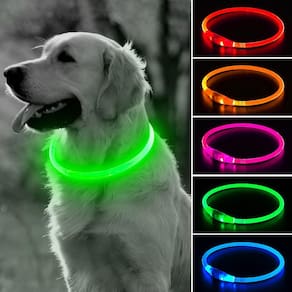 Coleira LED para cães BSEEN Luz de segurança recarregável verde 70cm