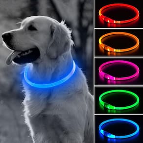 Coleira LED para cães BSEEN 360° visível à prova de chuva recarregável azul