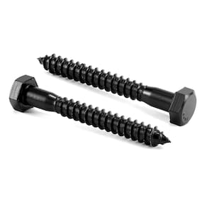 Parafusos Hex Head Lag Parafusos 20 unidades de aço inoxidável 304 18-8
