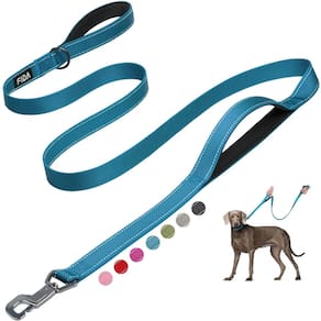 Coleira para cães Fida Heavy Duty de 6 pés com 2 alças acolchoadas azuis