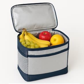 Bolsa Termica Portatil 17l Academia Marmita Com Alça Para Frasqueira Impermeavel Cooler Dobrável Camping Prai