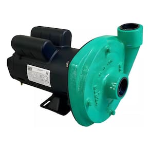 Motobomba Centrifuga Wdm 3,0cv Monofassico Motor Weg 127/220v