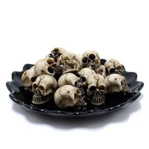 Conjunto de cabeças de caveira em miniatura, ornamentos de esqueleto de resina de Halloween