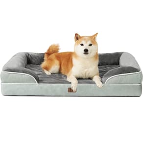 Cama ortopédica para cães EHEYCIGA Waterproof Memory Foam Large