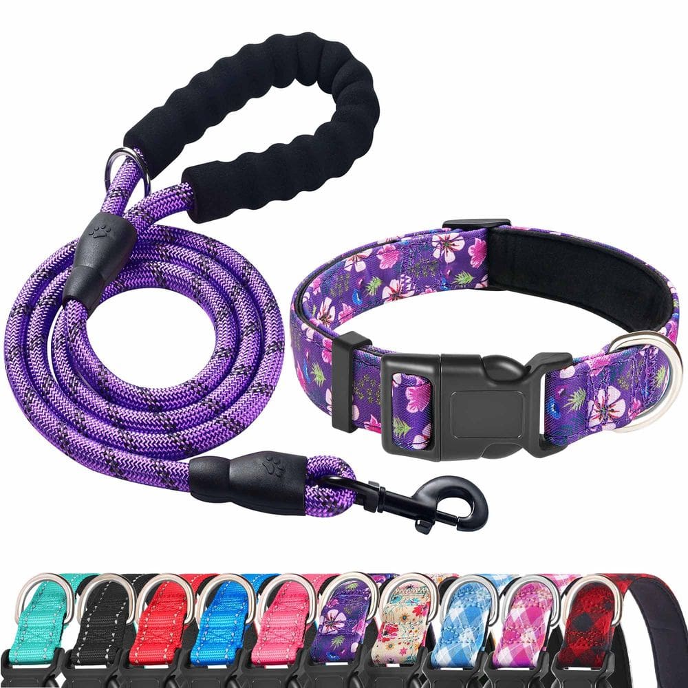 Conjunto de coleira e coleira para cães Ladoogo Reflective Neoprene roxo/rosa