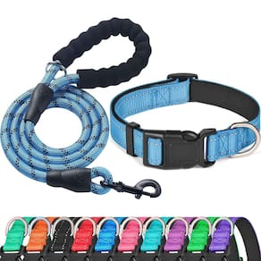 Conjunto de coleira e coleira para cães Ladoogo Reflective Neoprene Nylon
