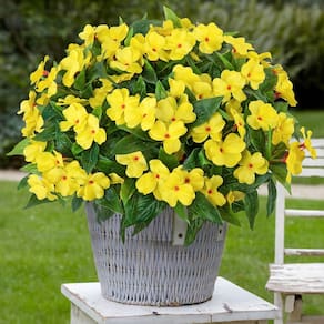 Flores artificiais Besteek Silk Impatiens 5 peças amarelas