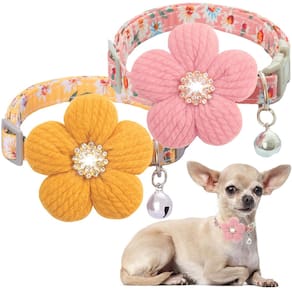 Coleira de cachorro COZIRAE pequena com flor para cadela (rosa + amarela)