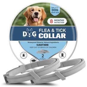Coleira para cães NJKPUYT Flea & Tick, 8 meses de proteção contra pulgas e carrapatos, pacote com 2