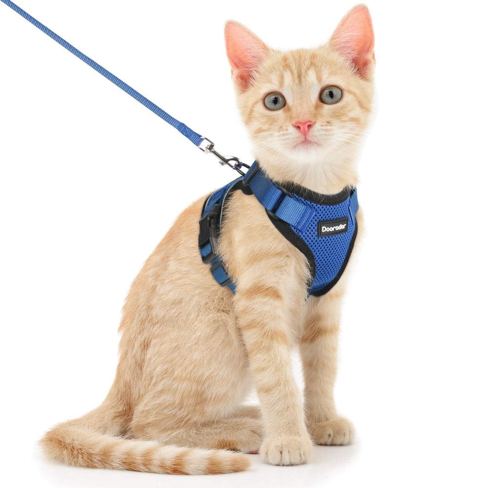 Conjunto de arnês e coleira para gatos Dooradar Escape Proof Blue XS