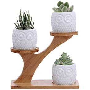 Vasos suculentos com suporte de bambu - cerâmica branca
