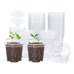 Vasos de viveiro Homenote Clear for Plants, pacote de 3 polegadas com 60 etiquetas