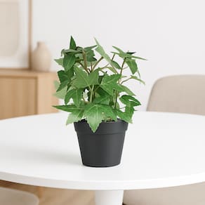 Planta Artificial Verde com Vaso Preto 18cm Decoração Realista para Sala, Escritório e Banheiro