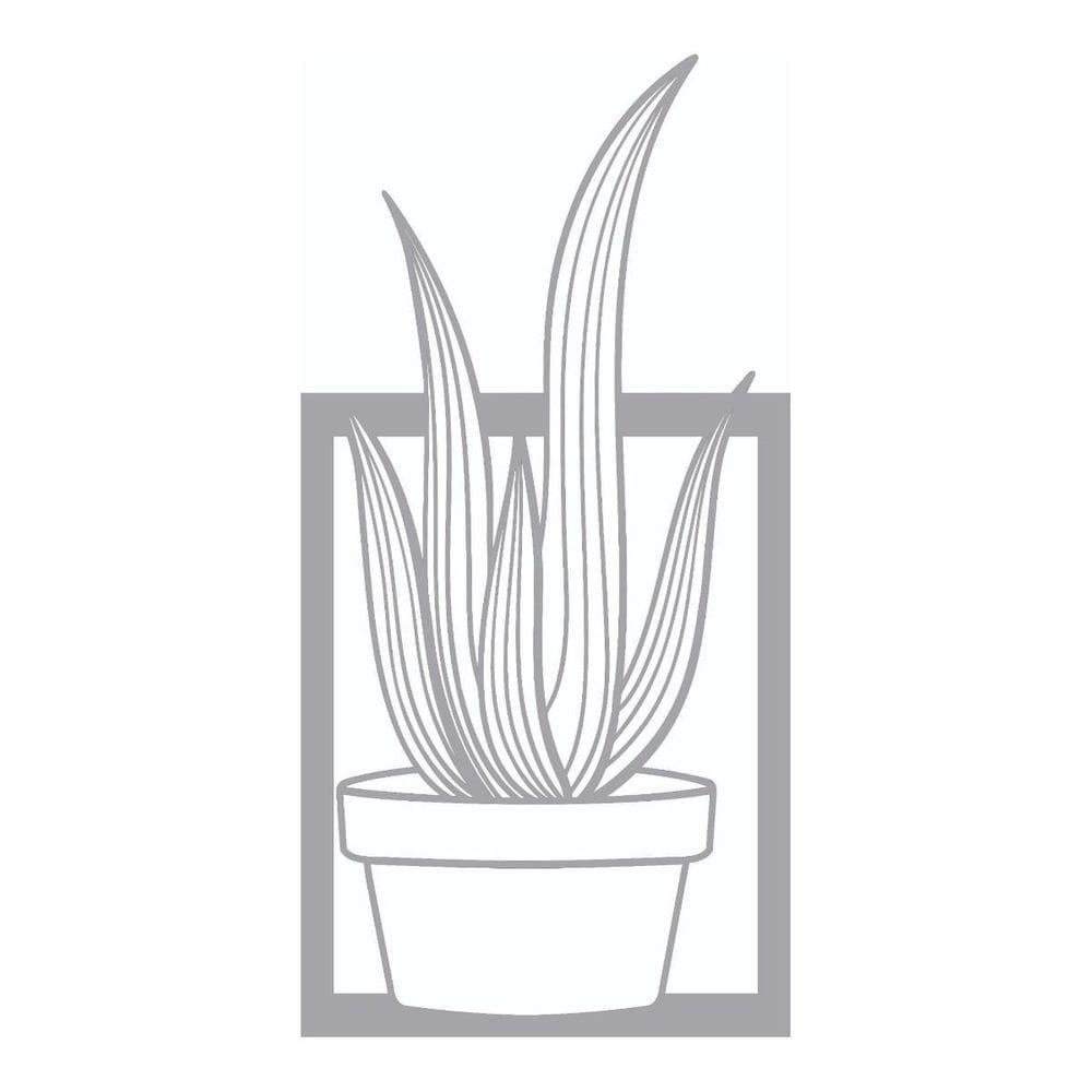 Quadro Decorativo Mdf Cinza Vaso De Planta 40X20Cm