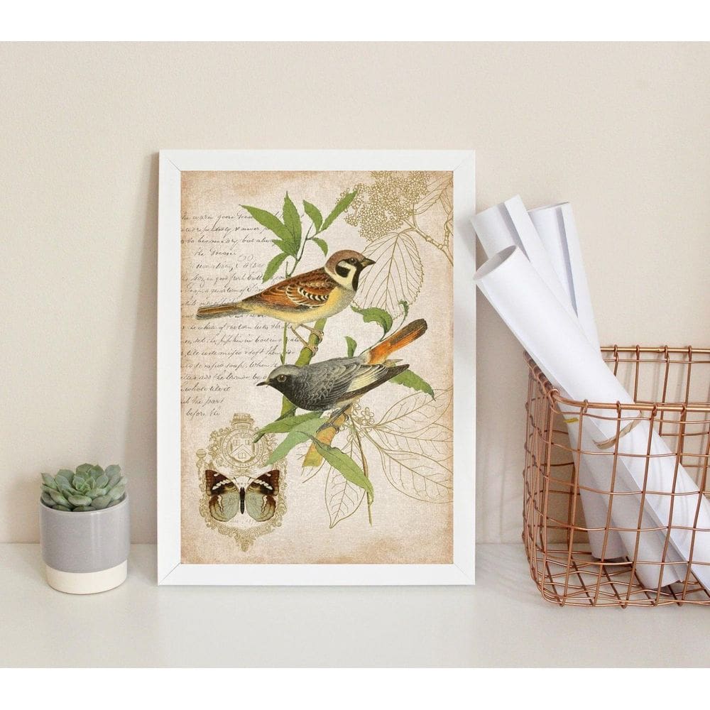 Quadro Decorativo Pássaros Vintage Botânica 24X18Cm Mold