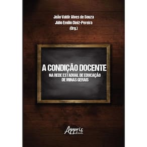 A Condição Docente Na Rede Estadual De Educação De Minas Gerais