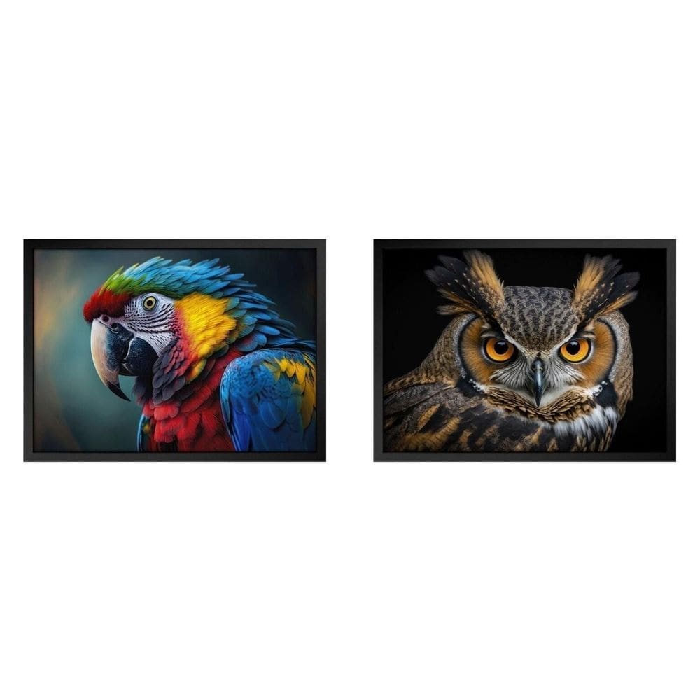 Kit 2 Quadros 60cm X 80cm Animal Coruja e Arara Tropical Artes Preto