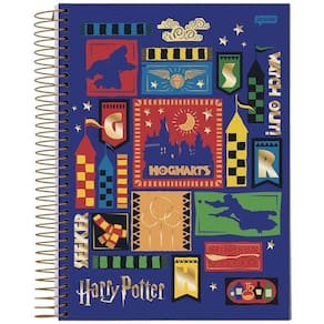Caderno Univ 15 Matérias 300Fls Harry Potter Roxo Jandaia