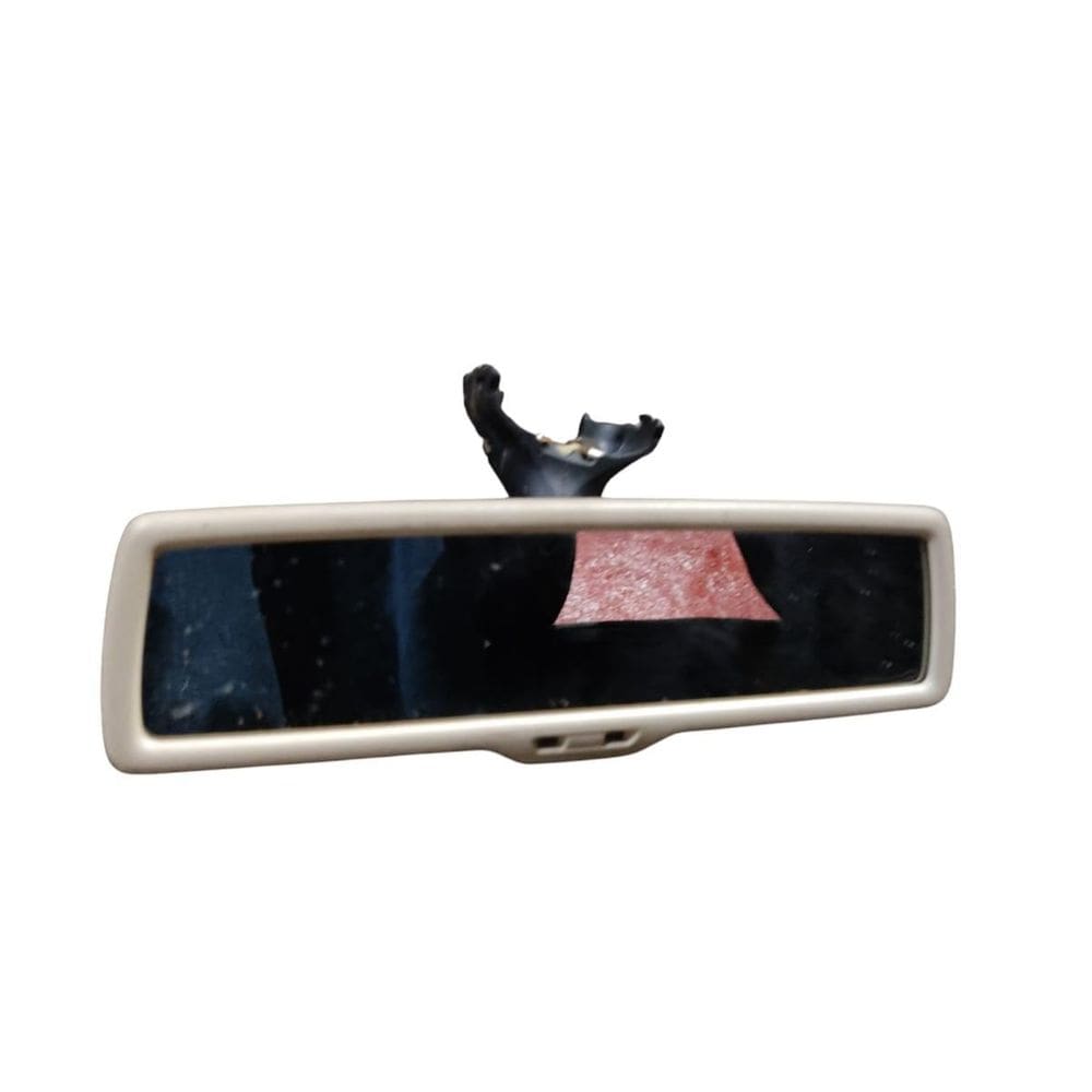 Retrovisor Interno Volkswagen Tiguan 2011 E11026141