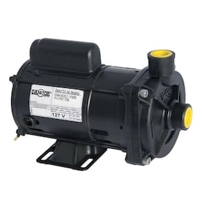 Bomba De Água Centrifuga Dancor CP4-C 1/2CV Bivolt