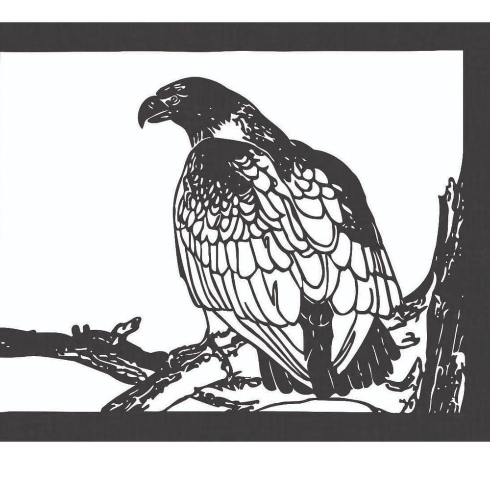 Quadro Decorativo Preto Mdf Gavião 40X20Cm