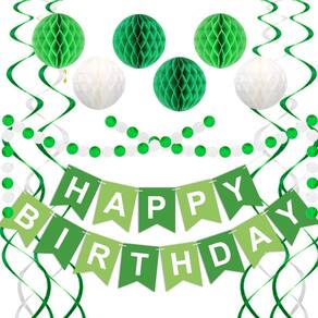 Decorações de festa GTZCVCZTG Green Birthday para todas as idades