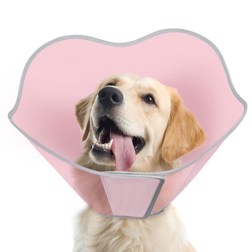 Dog Cone Supet após cirurgia Comfortable Stop Licking Pink M